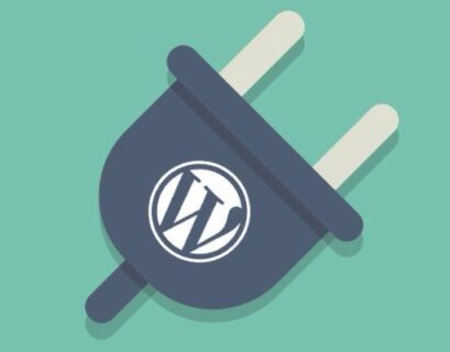 wordpress plug in